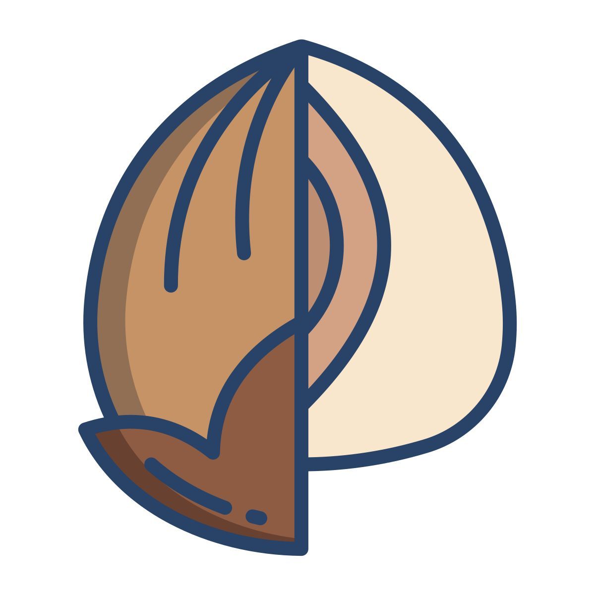 hazelnut icon
