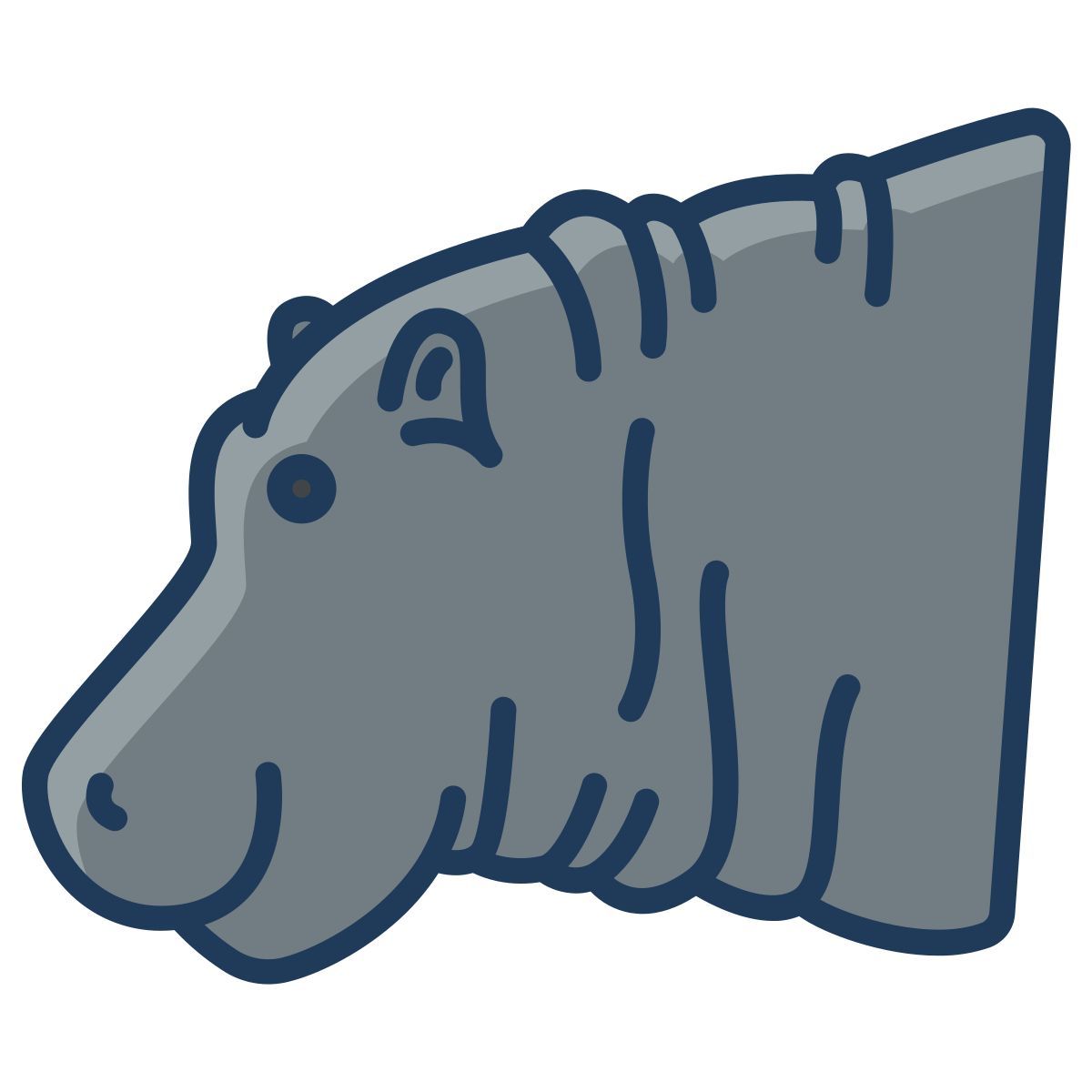hippopotamus icon