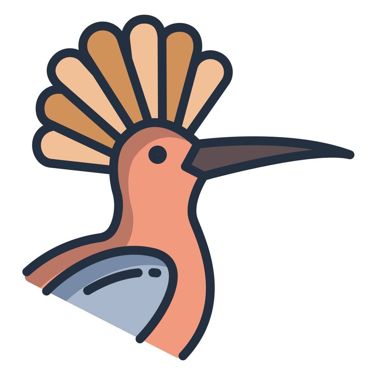 hoopoe icon