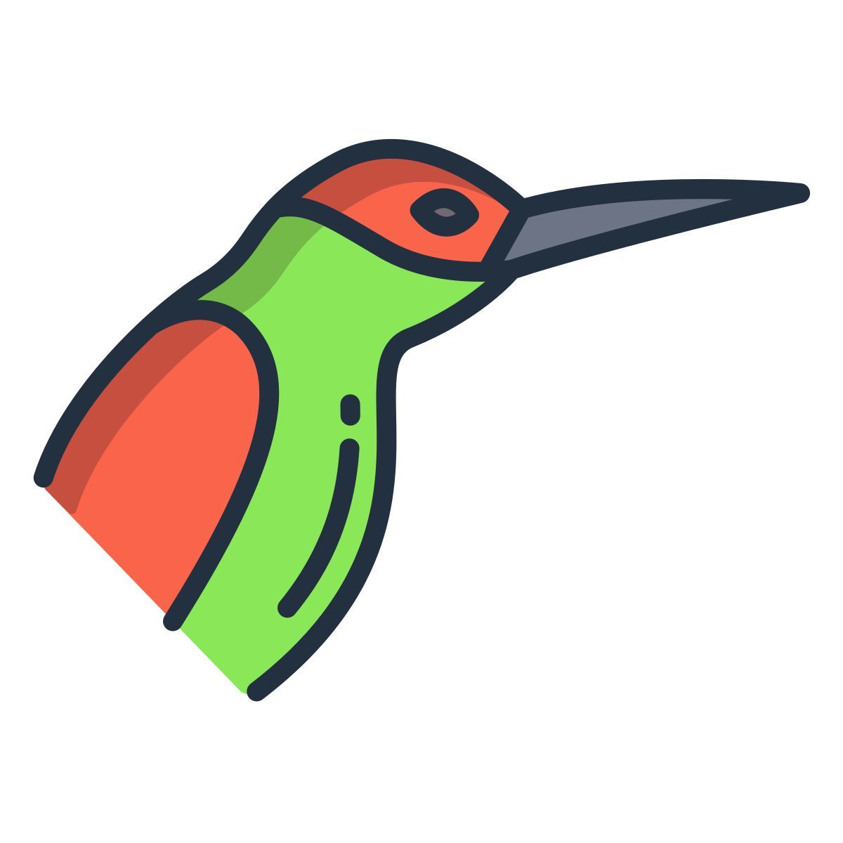 humming bird icon