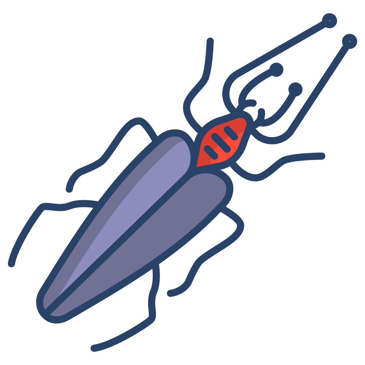 insect icon