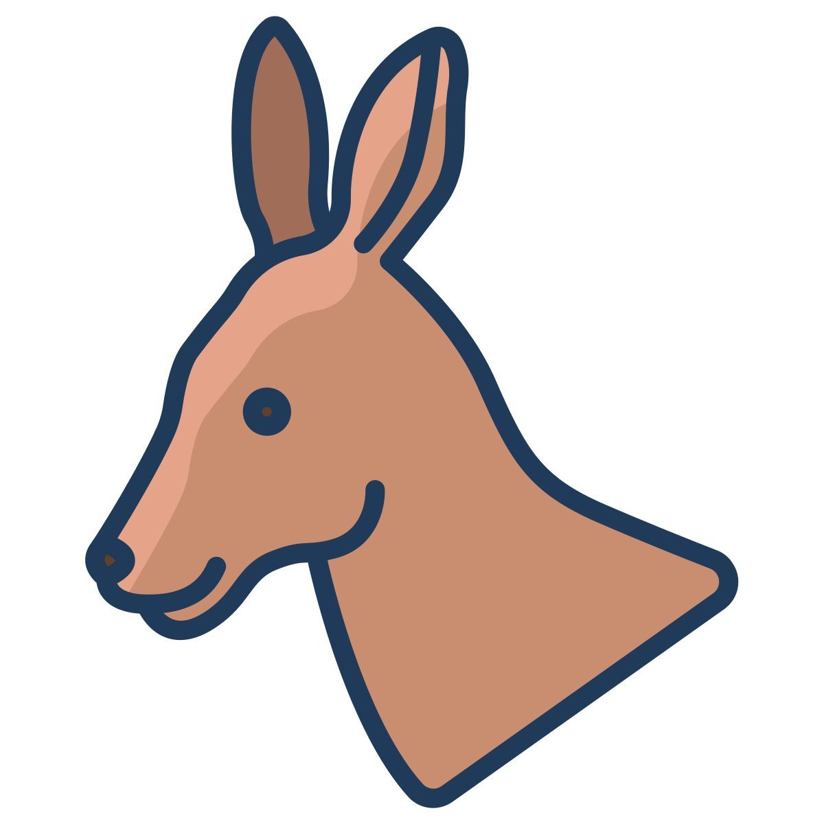 kangaroo icon