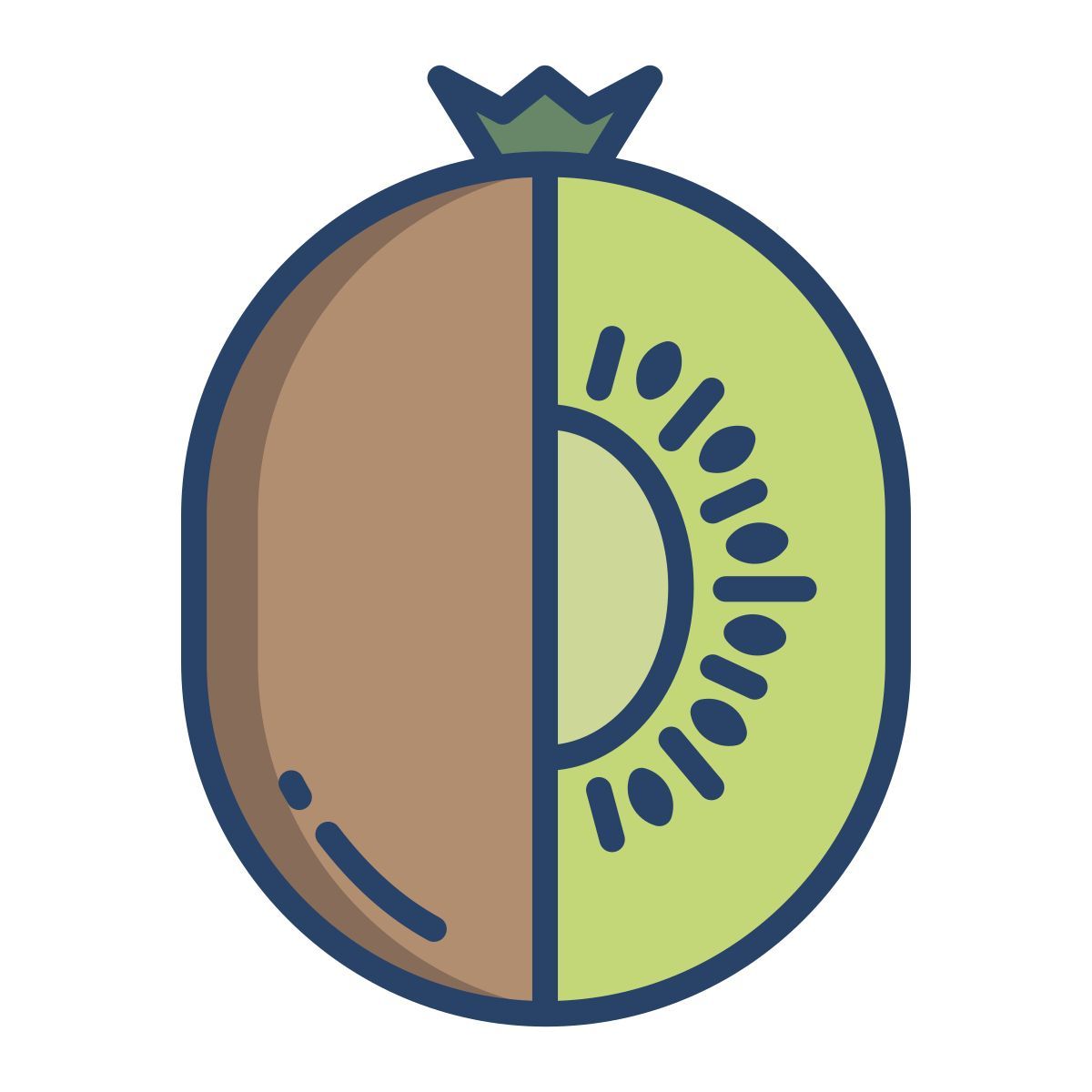 kiwi icon