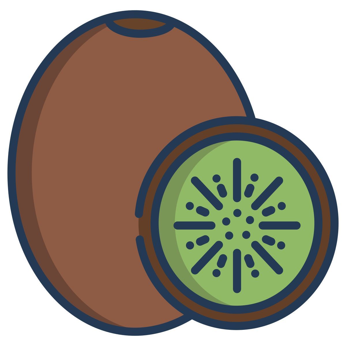 kiwi icon