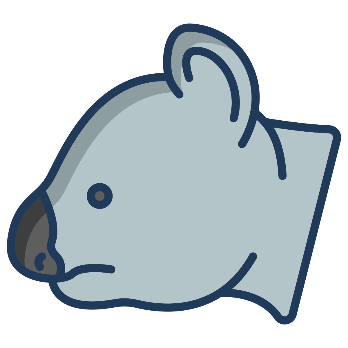 koala icon
