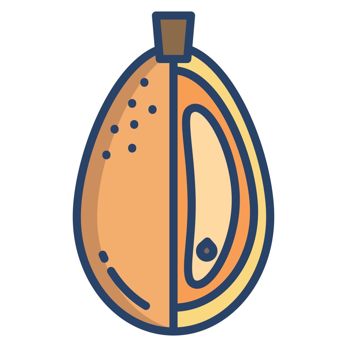kumquat icon