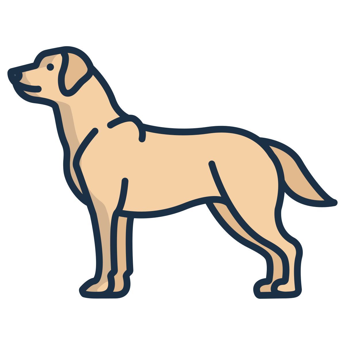 labrador retriever icon