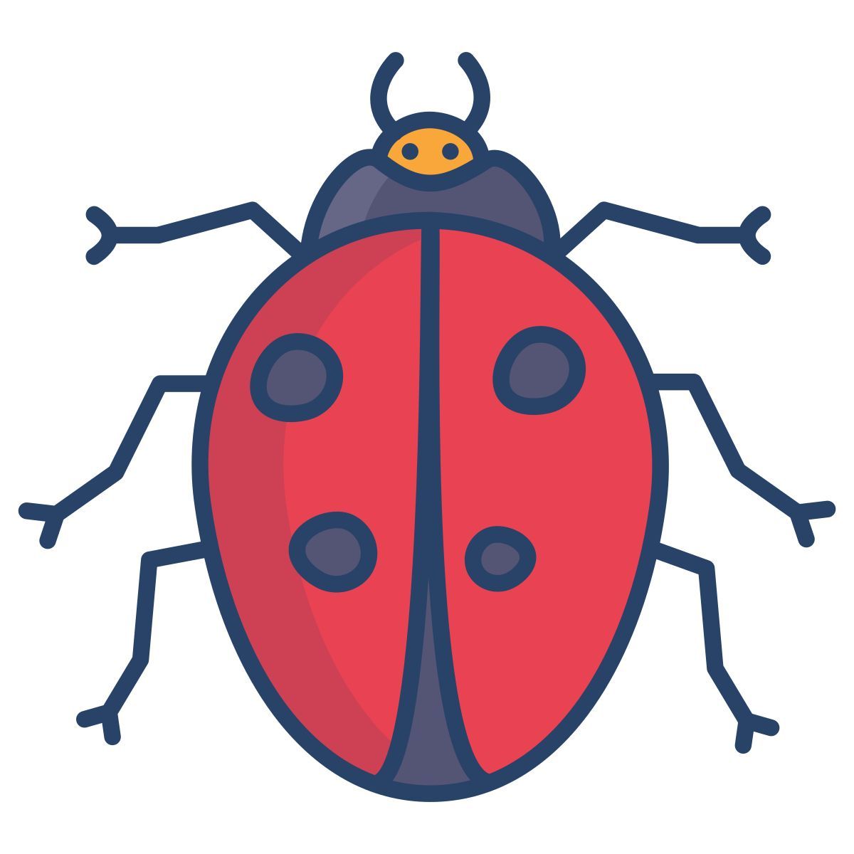 ladybug icon