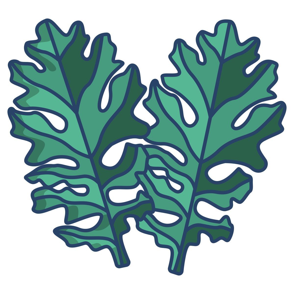 leaf icon