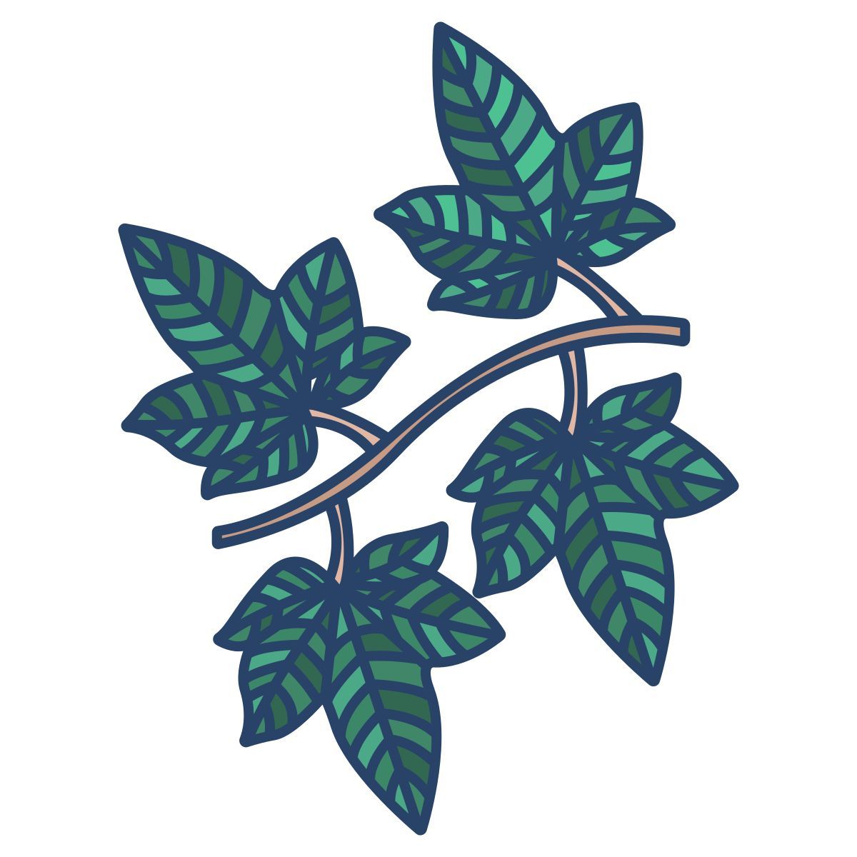 leaf icon