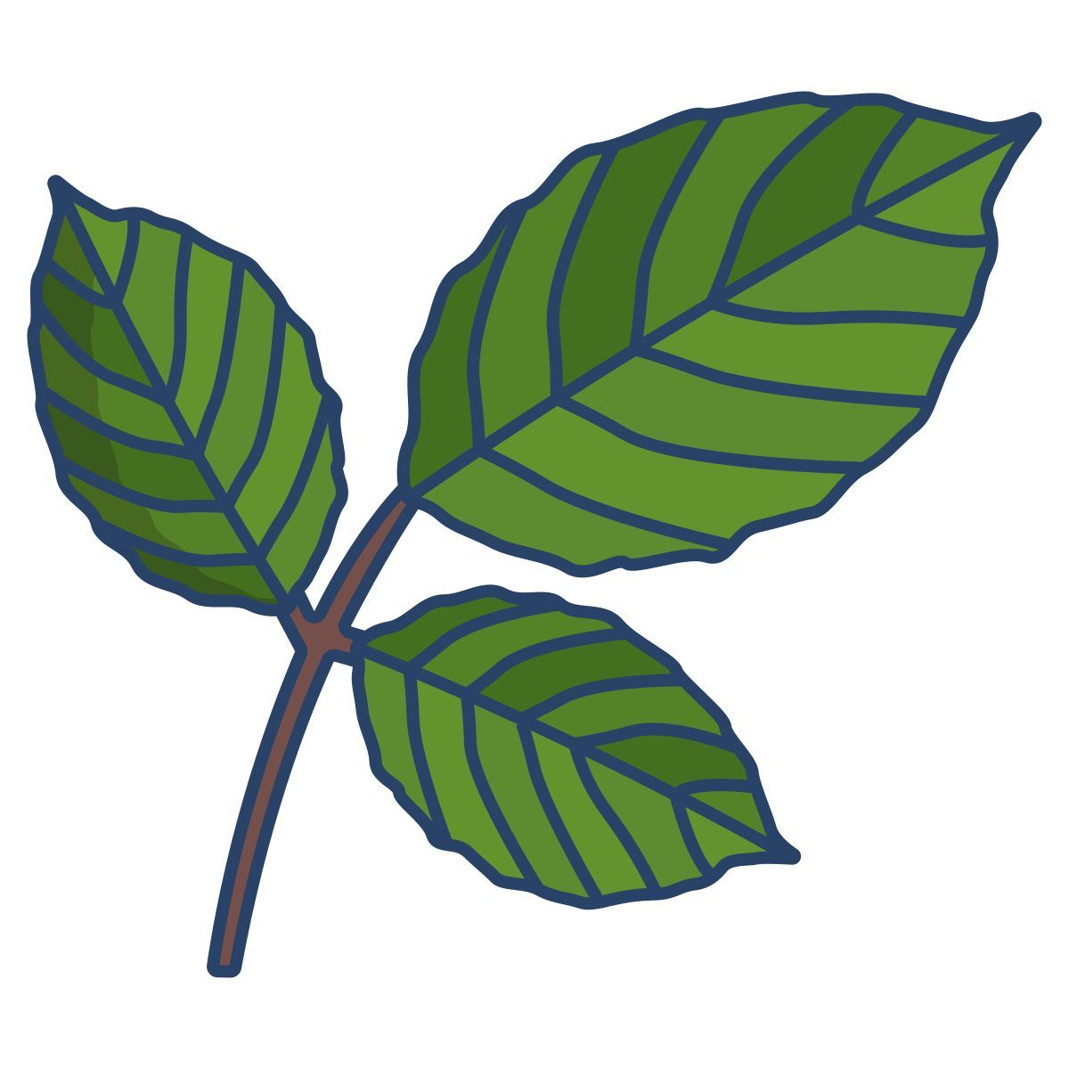 leaf icon
