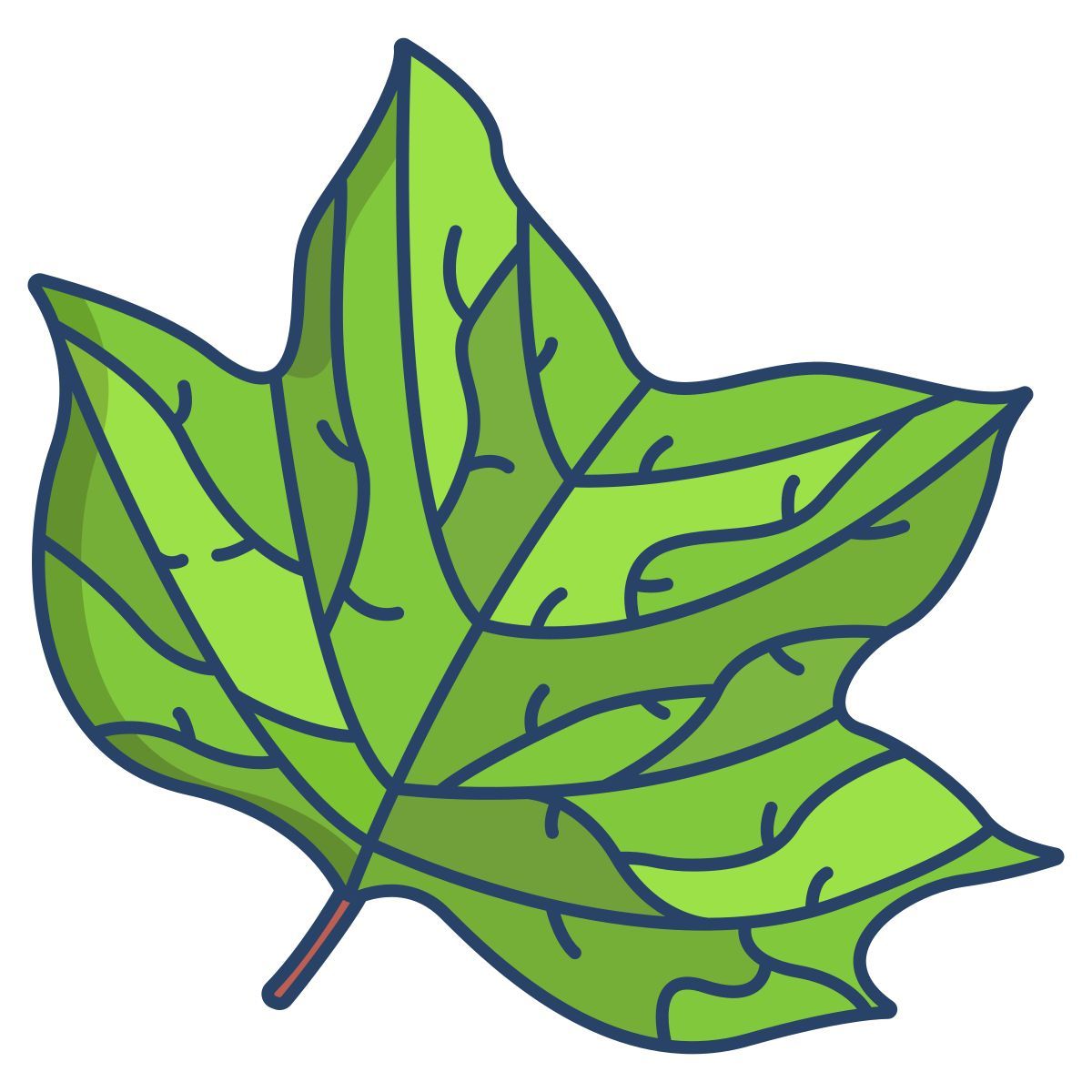 leaf icon
