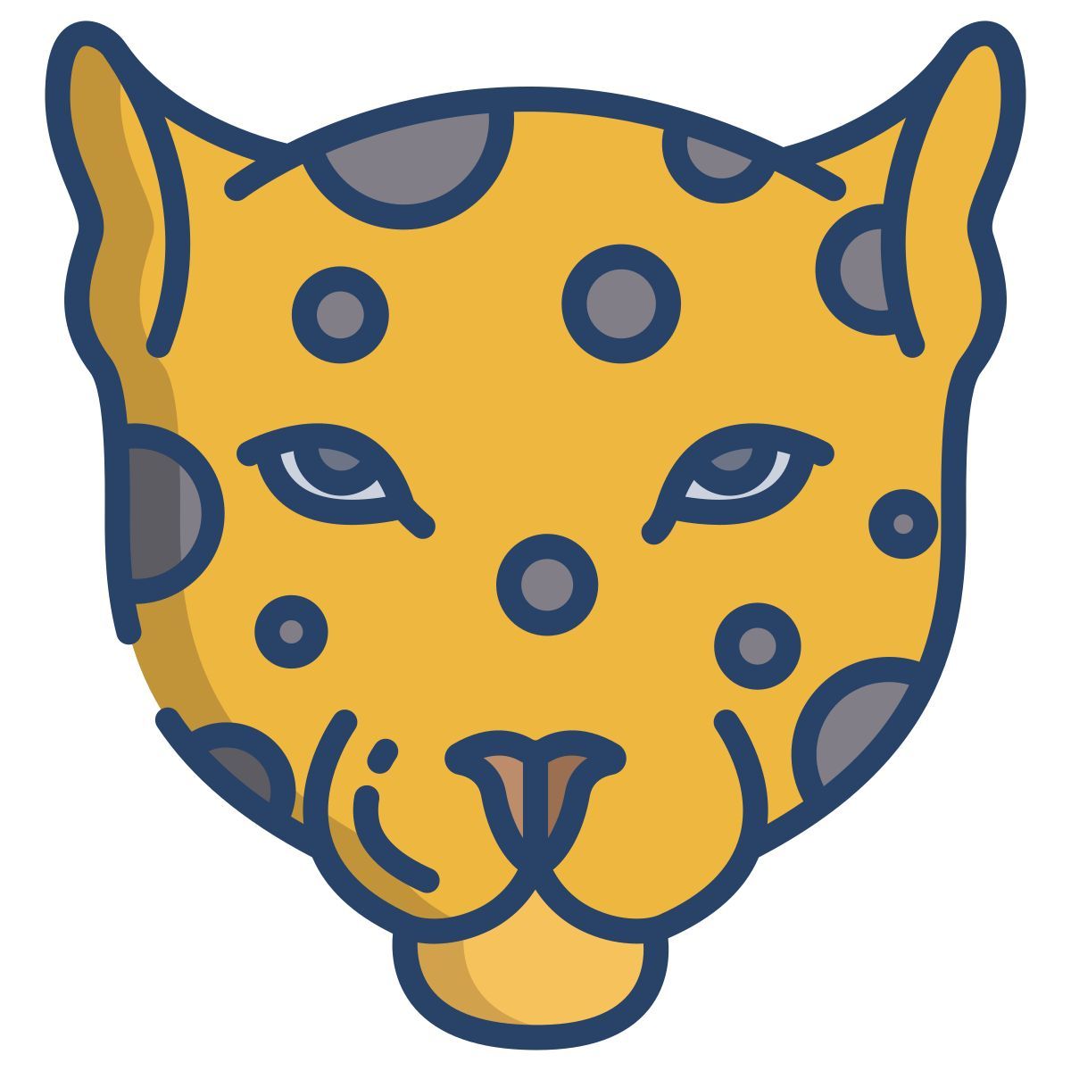 leopard icon