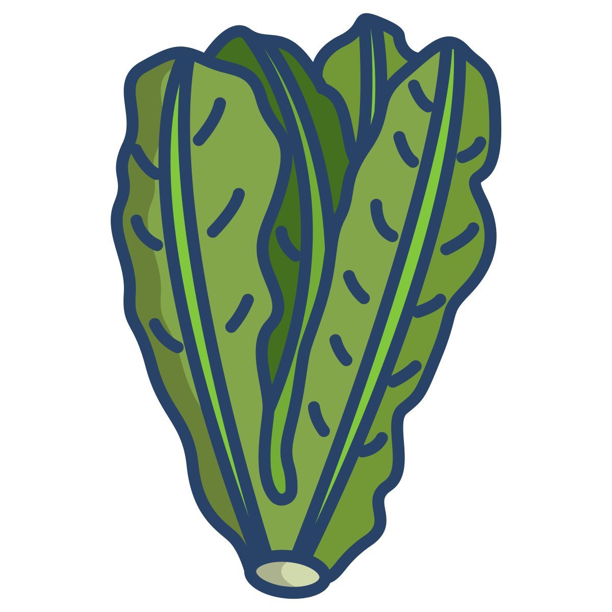 lettuce icon