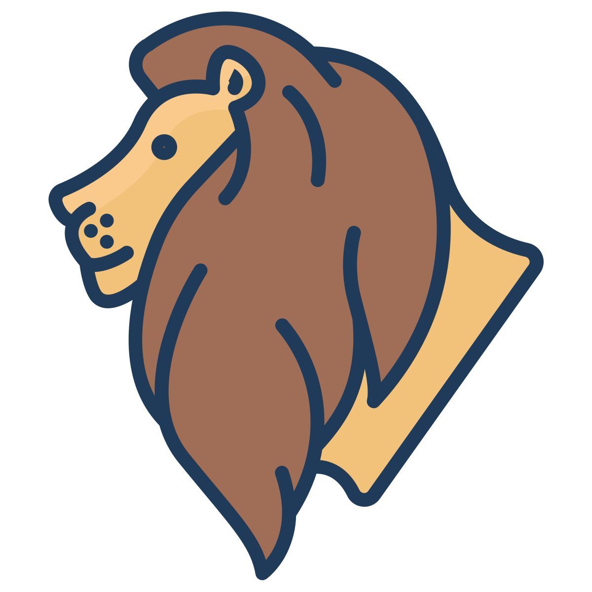 lion icon