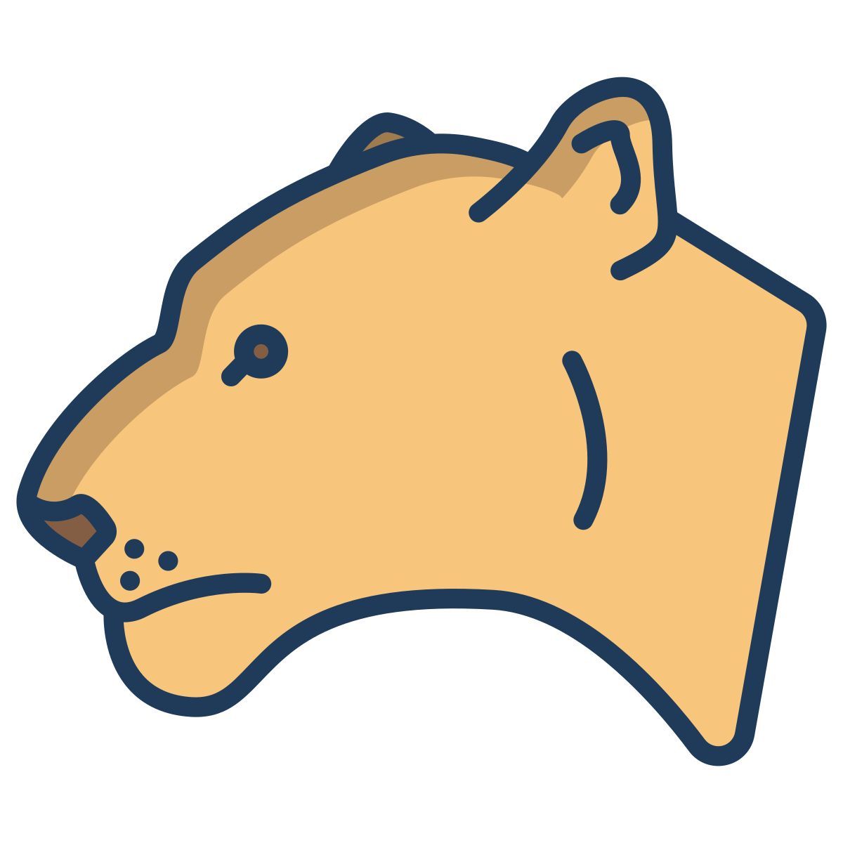 lioness icon
