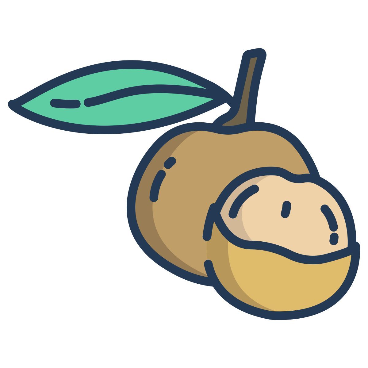 longan icon