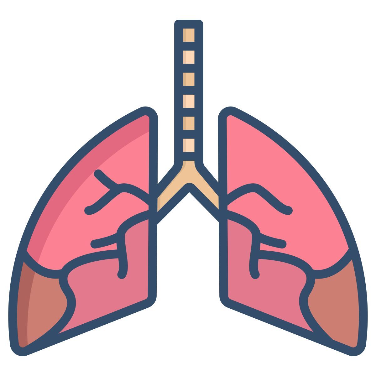 lungs icon