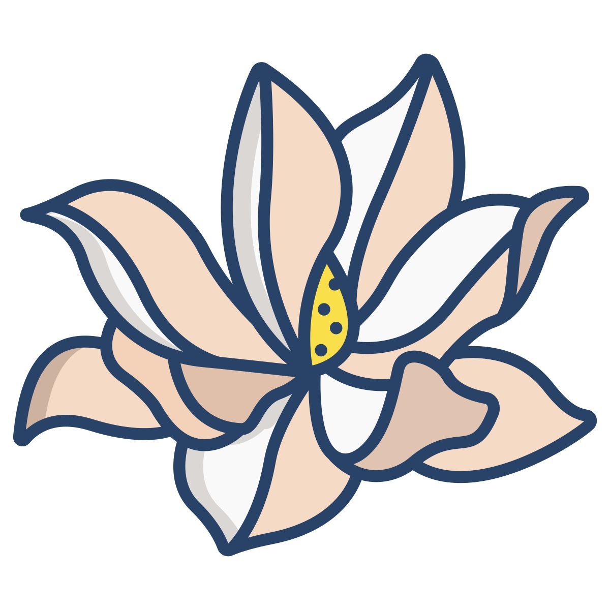 magnolia icon