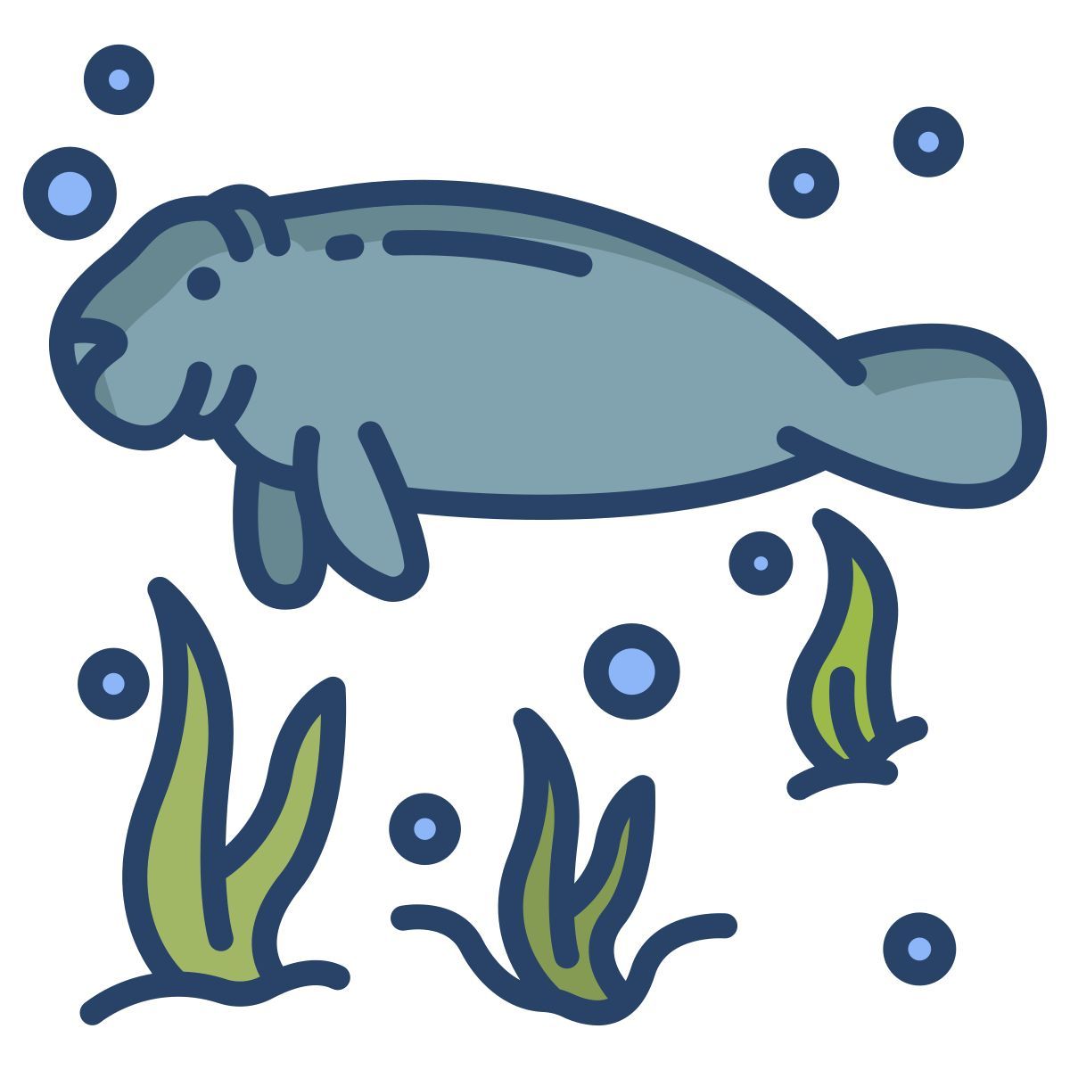 manatee icon