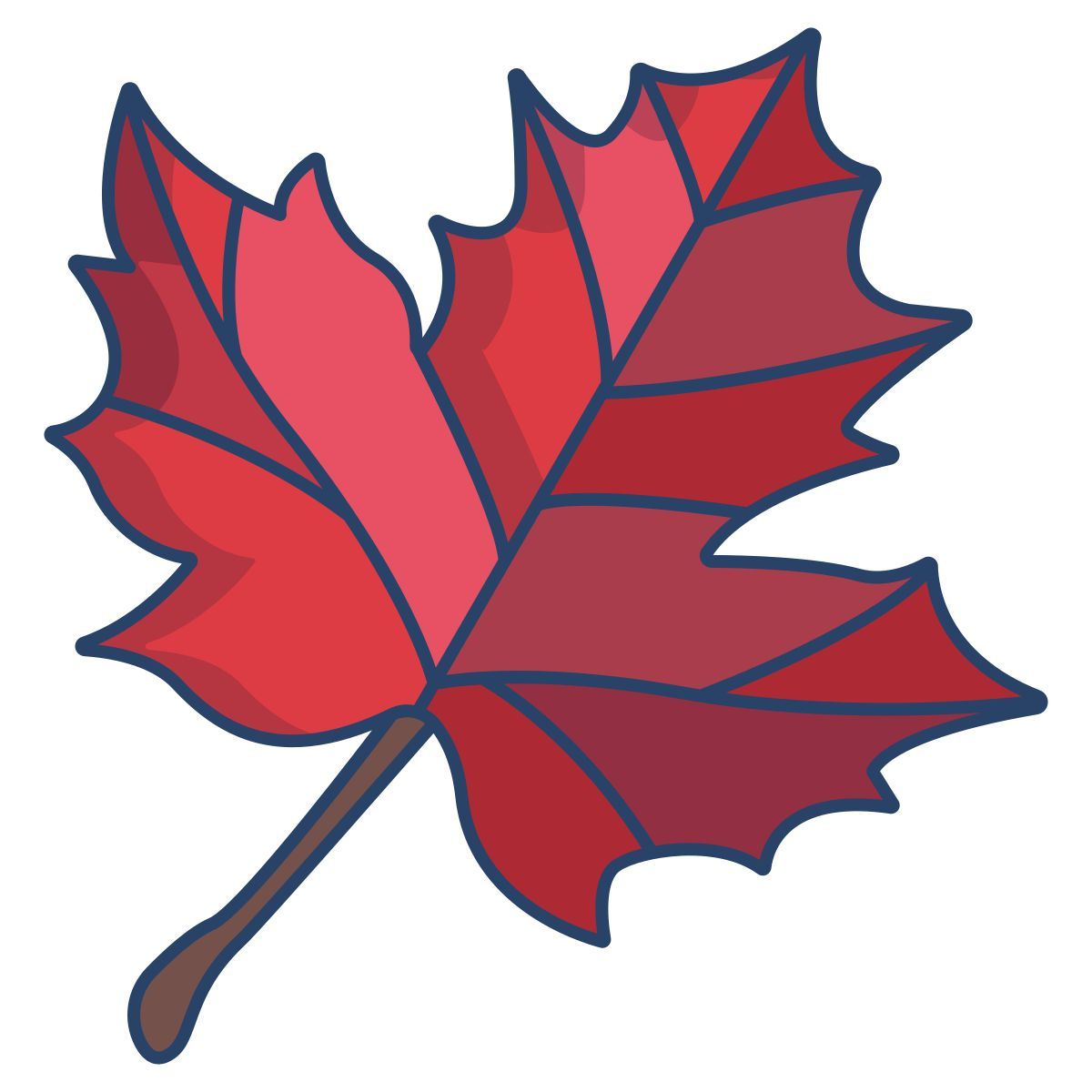 maple icon