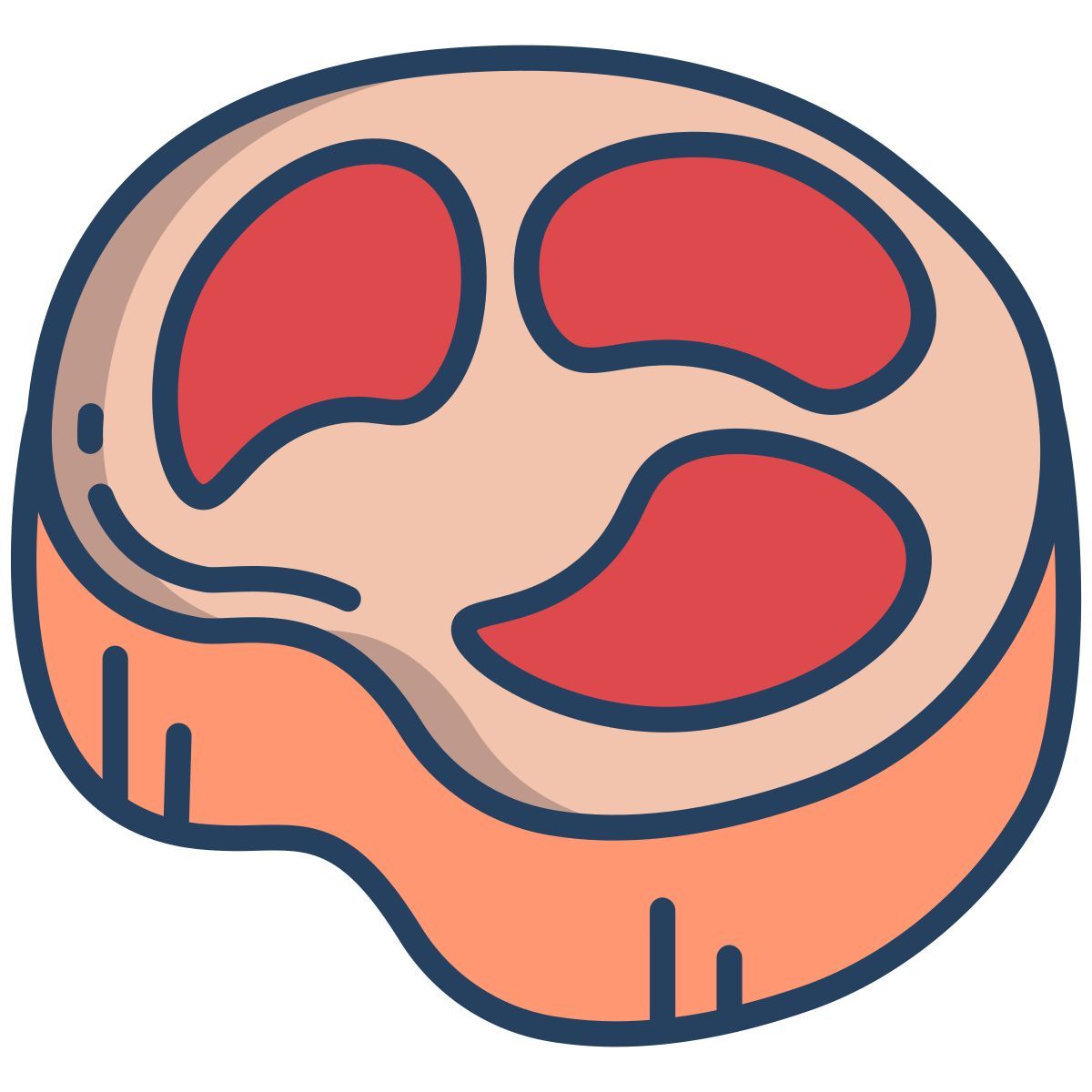meat icon