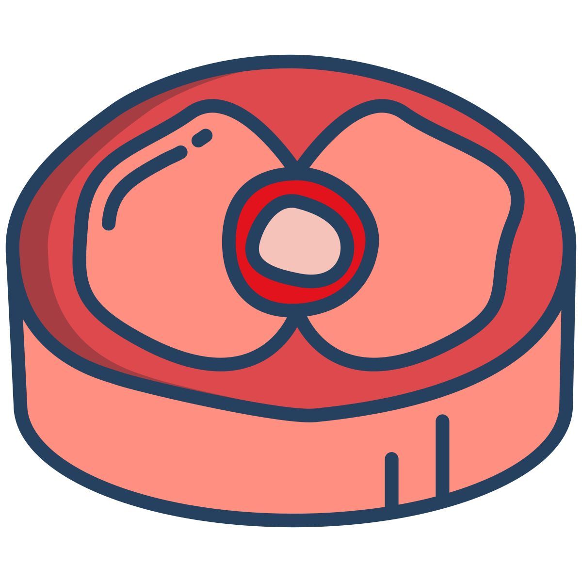meat slice icon