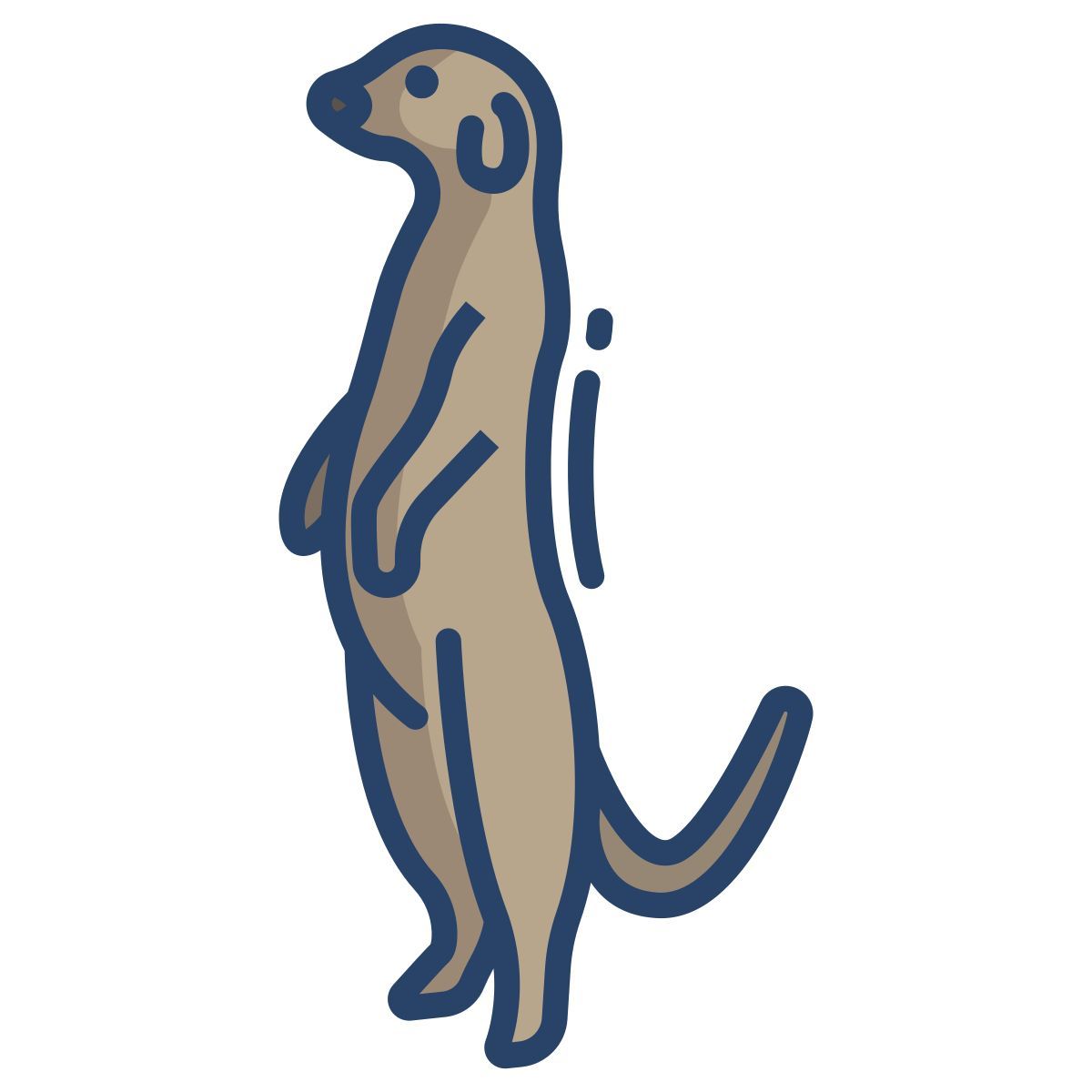 meerkat icon