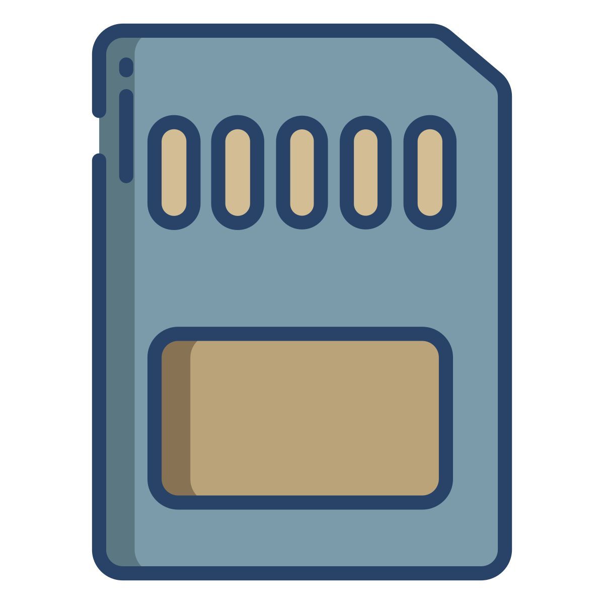 Scheda di memoria icon