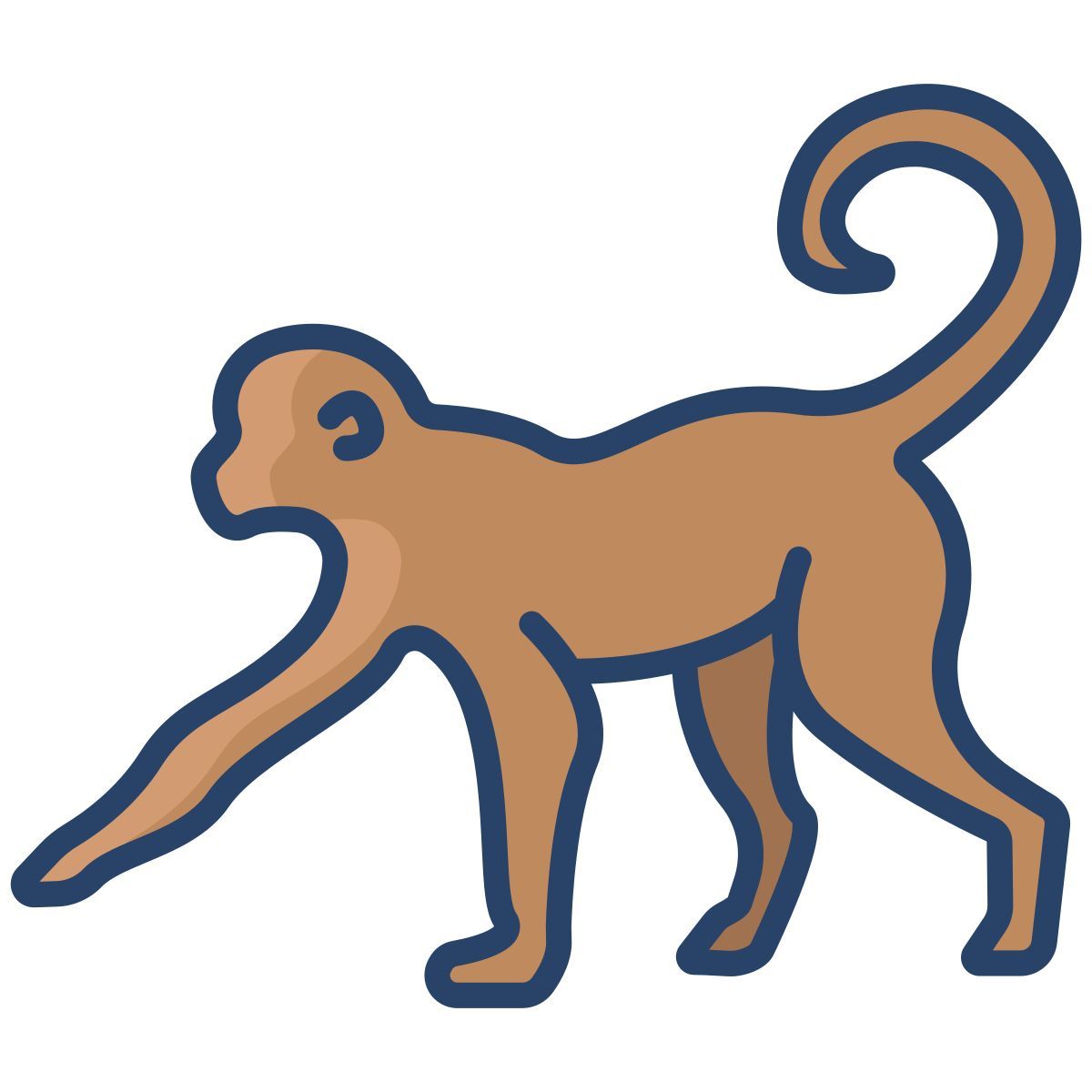 monkey icon