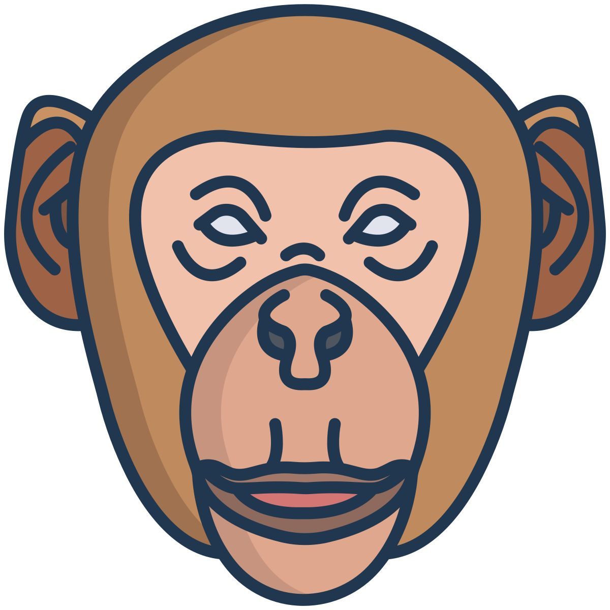monkey icon