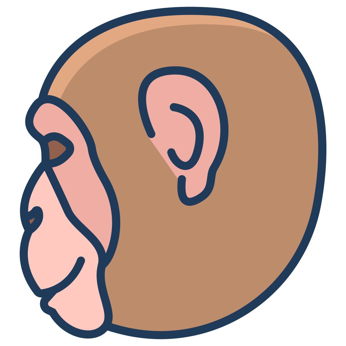 monkey icon