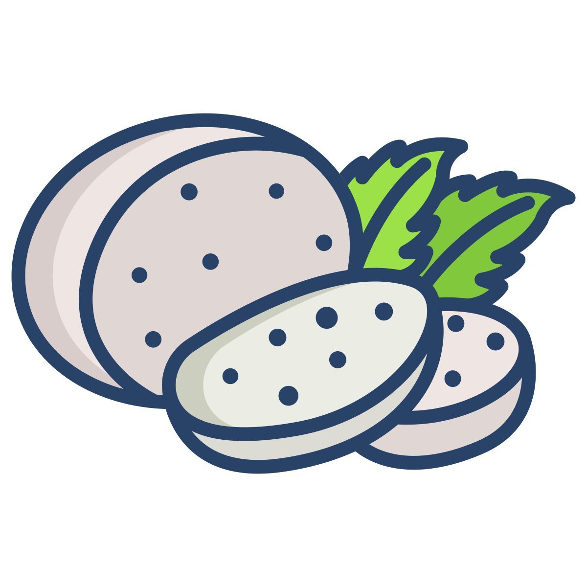 mozzarella icon