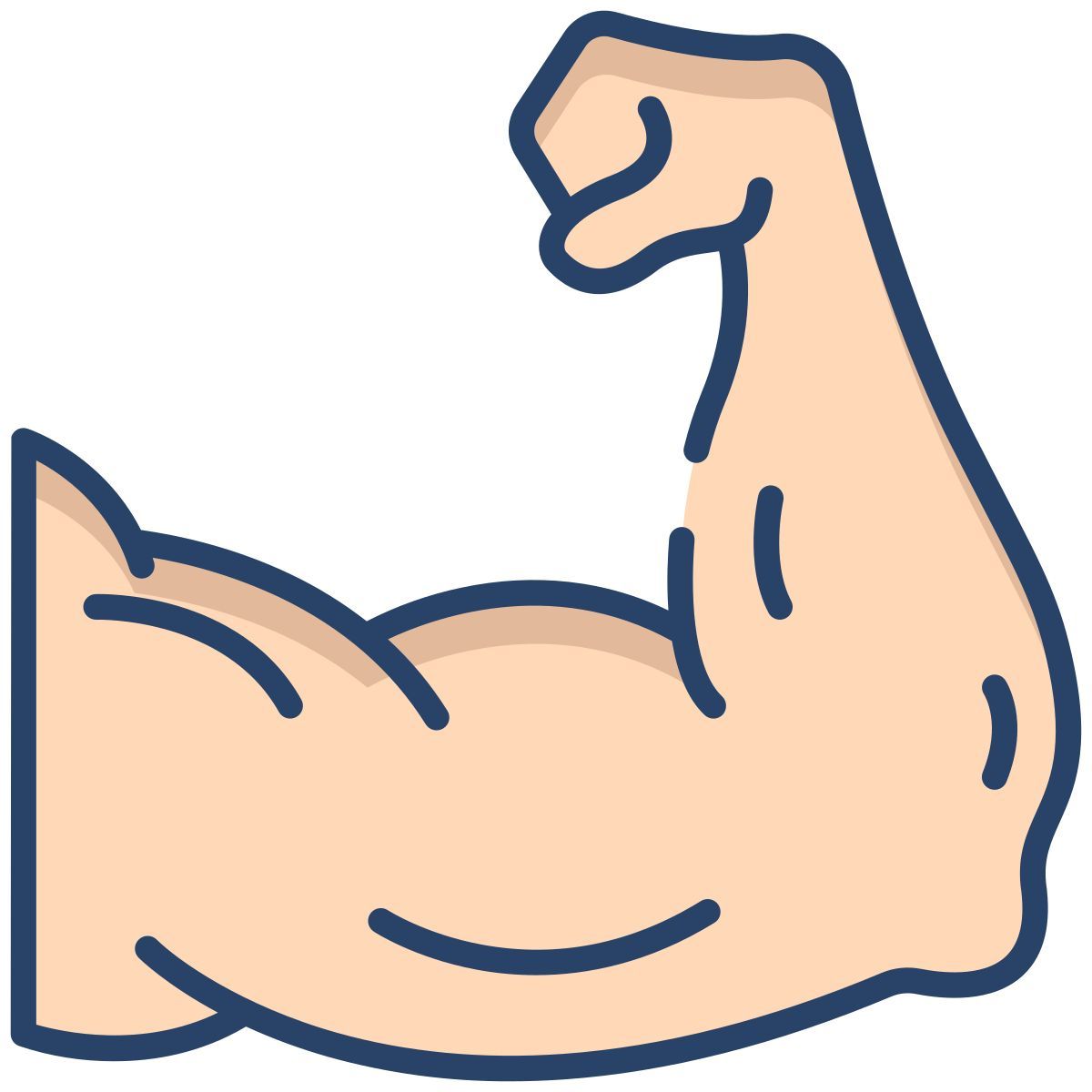 muscles icon
