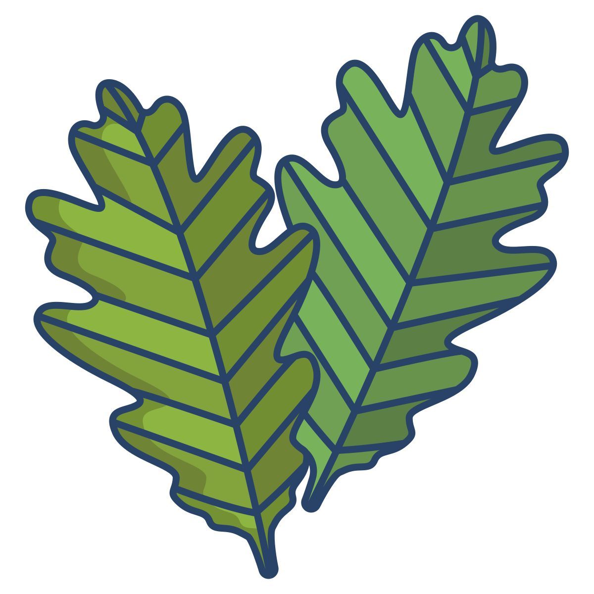 carvalho icon