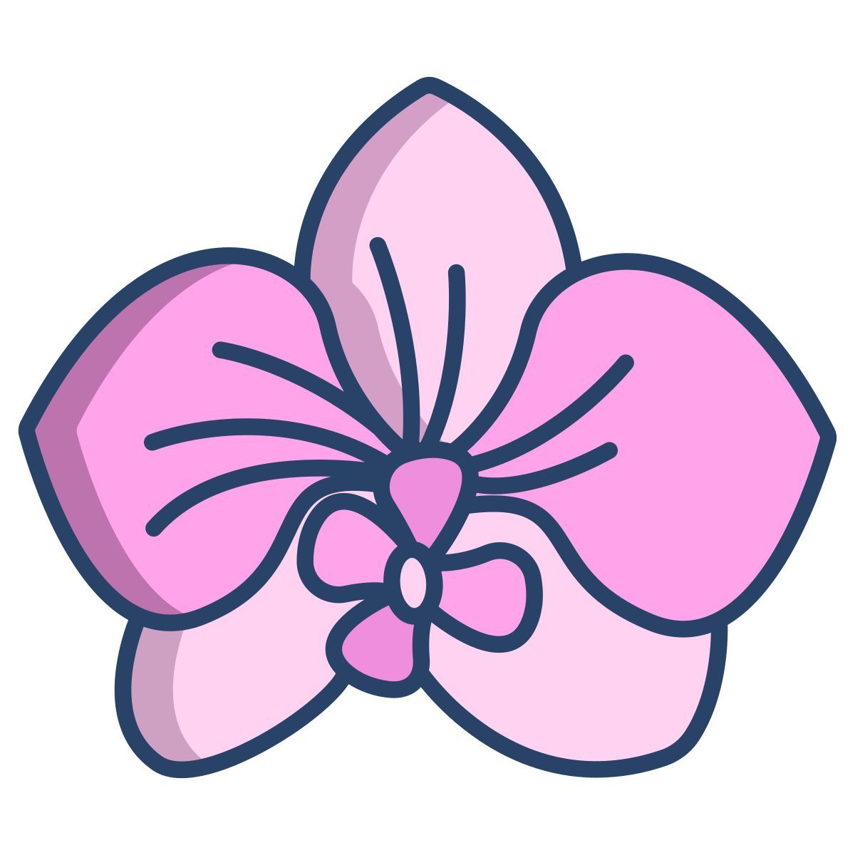 orquídea icon