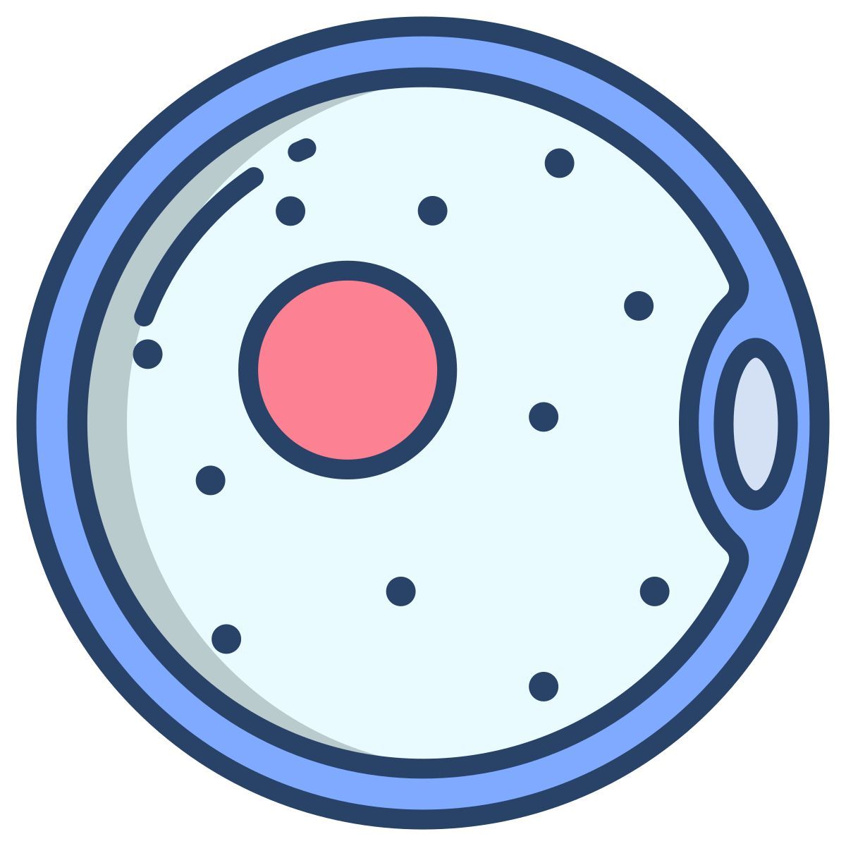 ovum icon