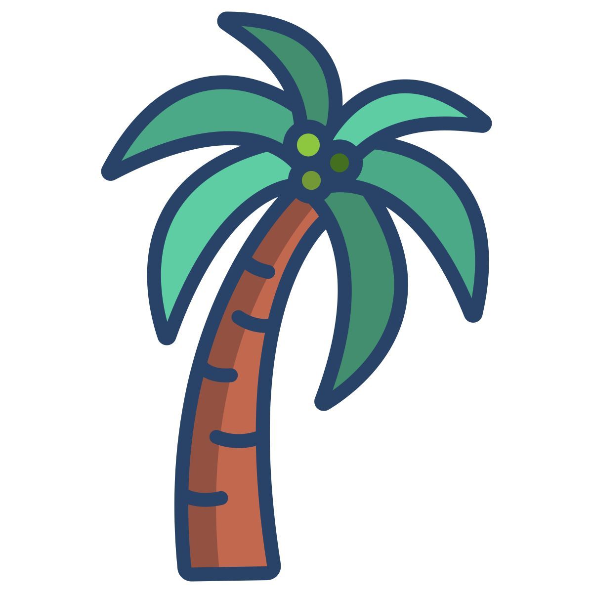 palm tree icon