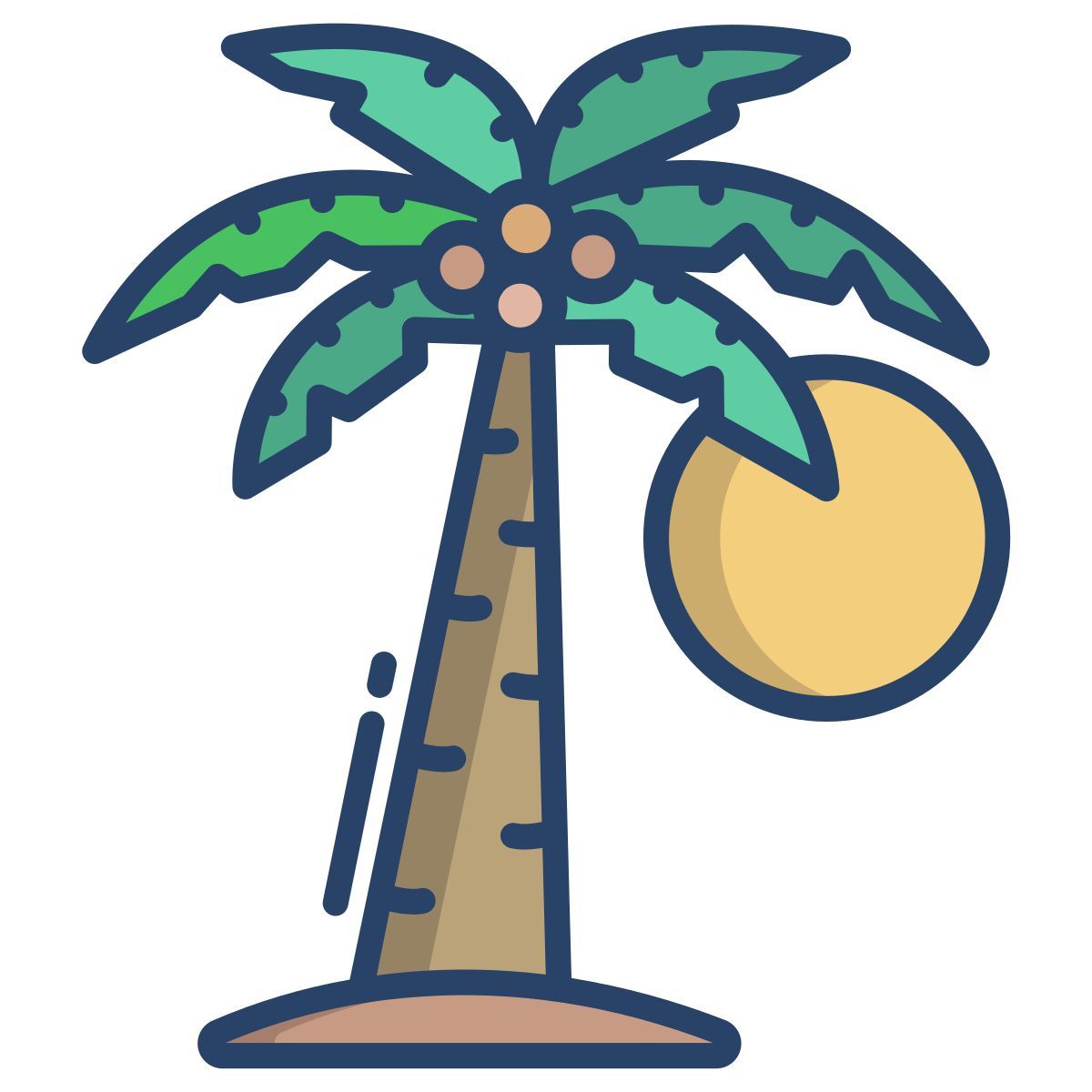 palm tree icon