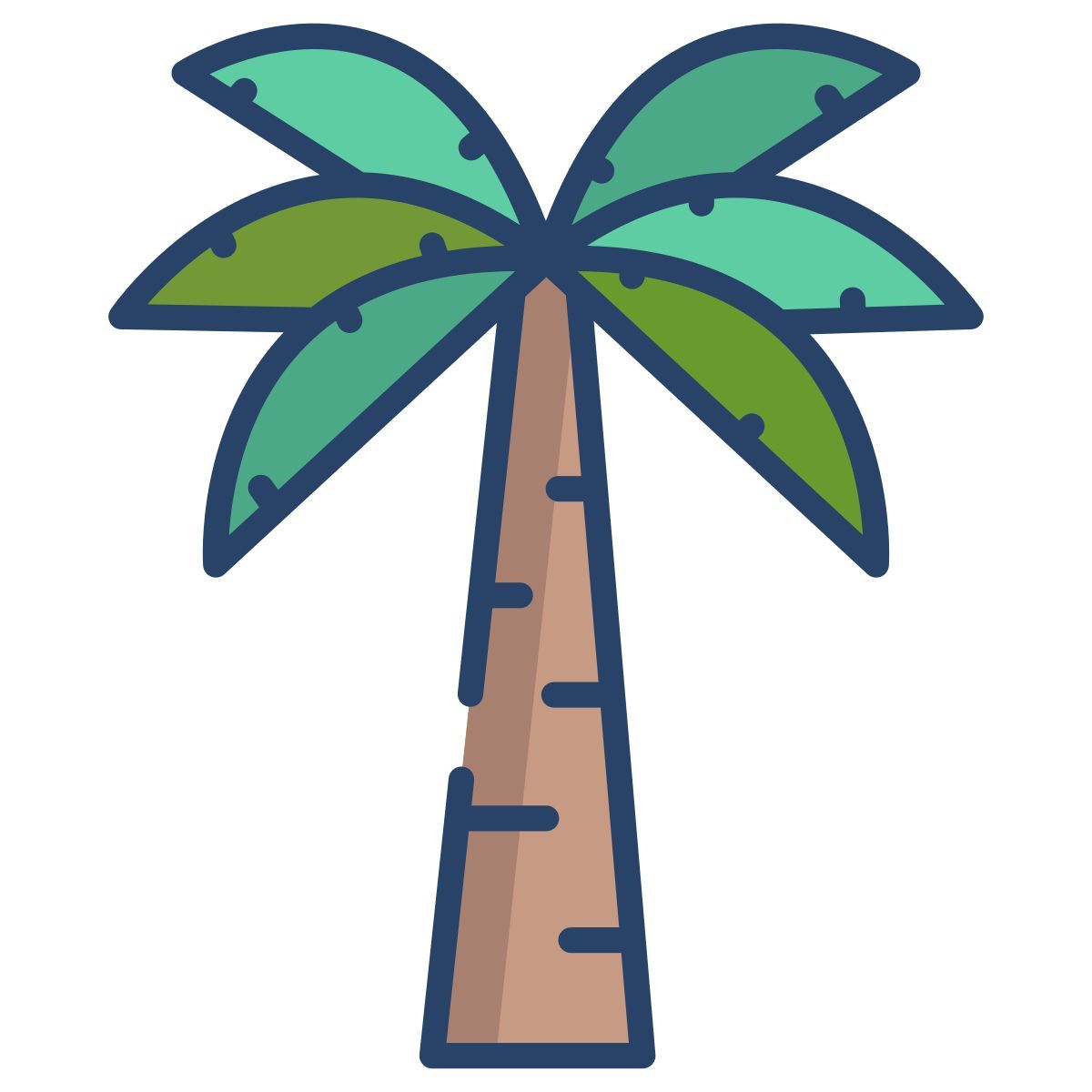 palm tree icon