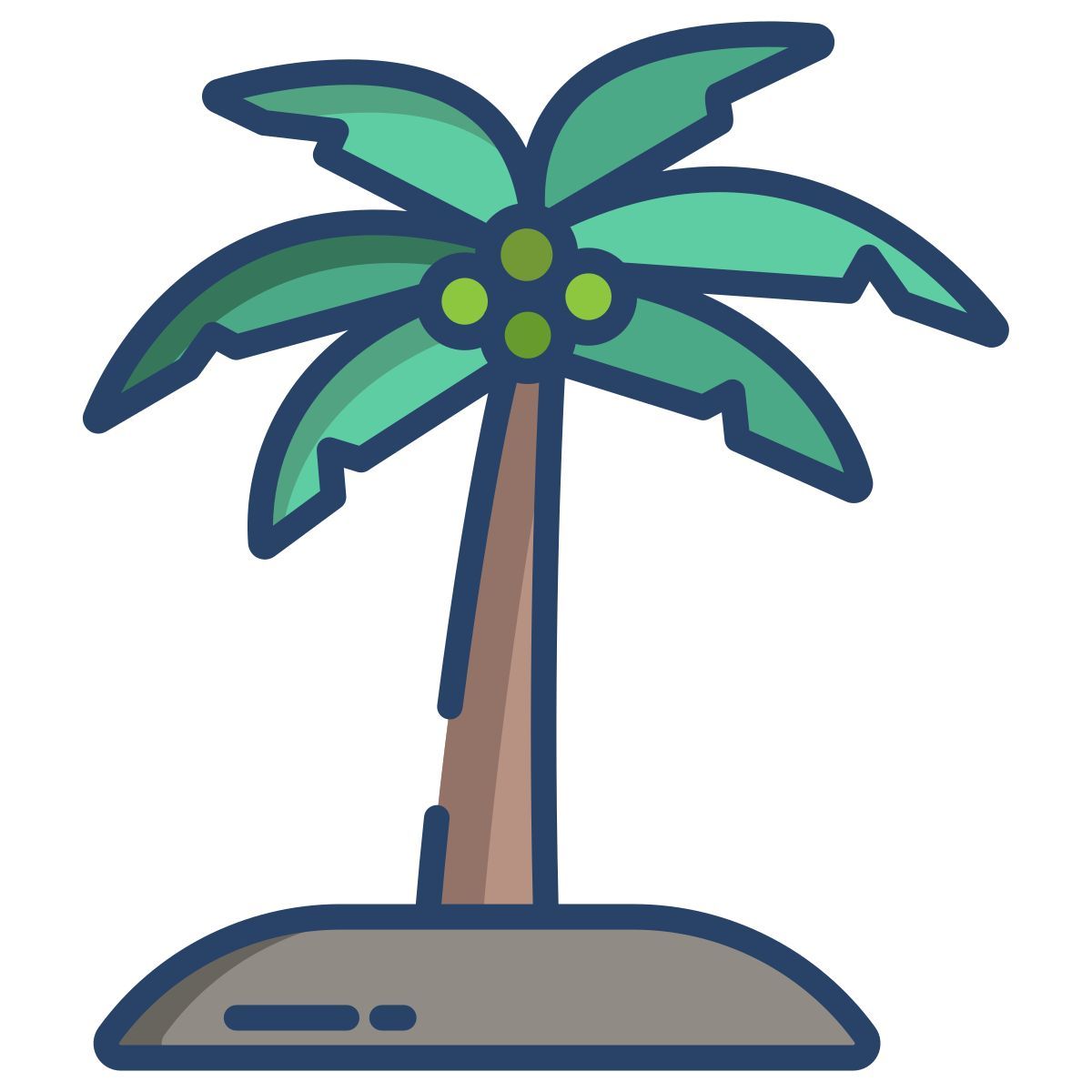 palm tree icon