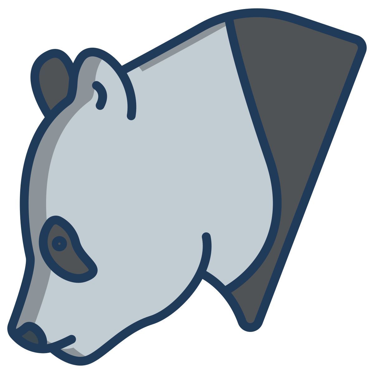 panda icon