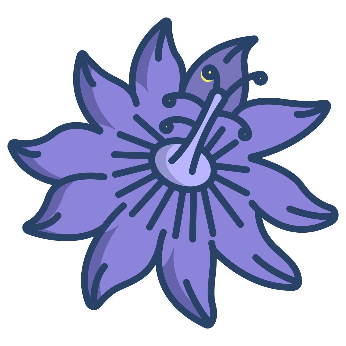 paixão icon