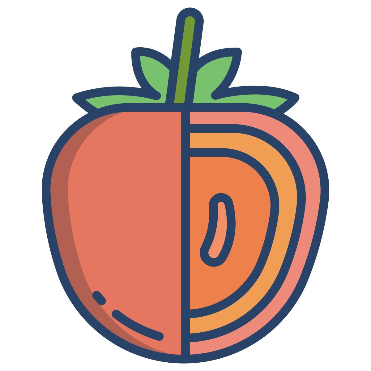 persimmon icon