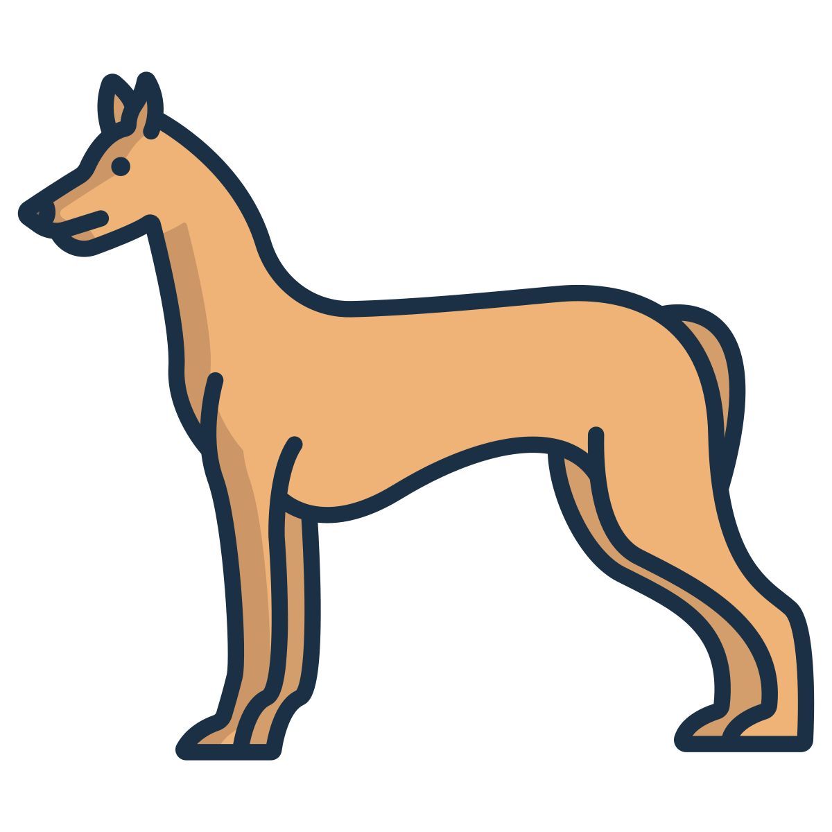 pharaoh hound icon
