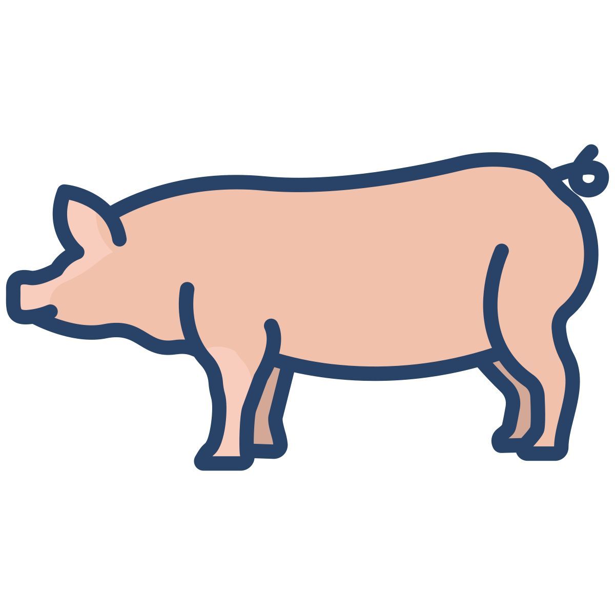 pig icon