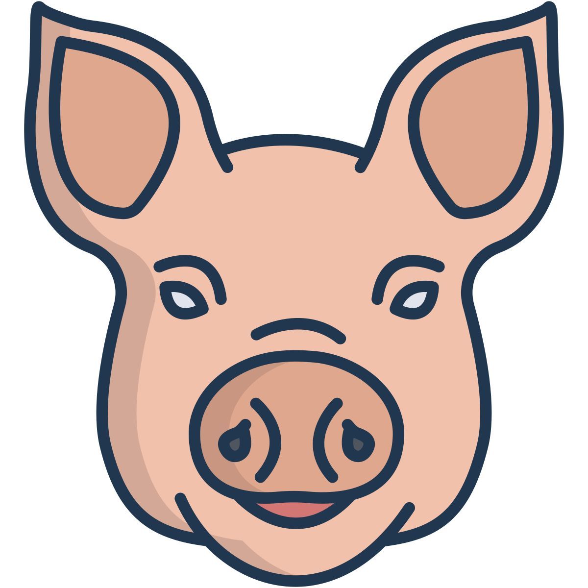 pig icon