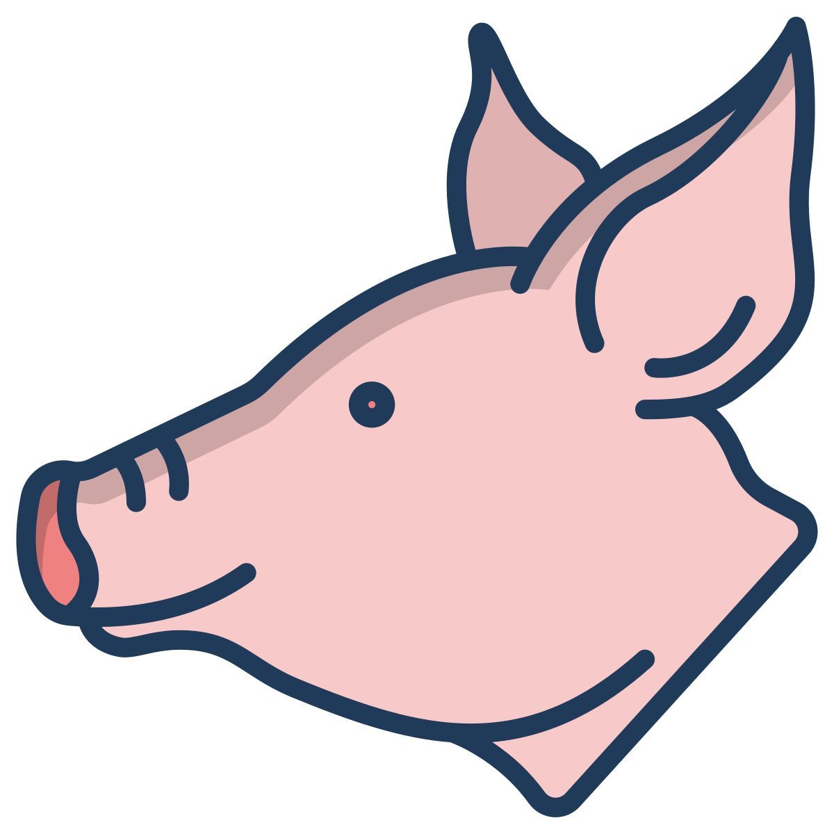 pig icon