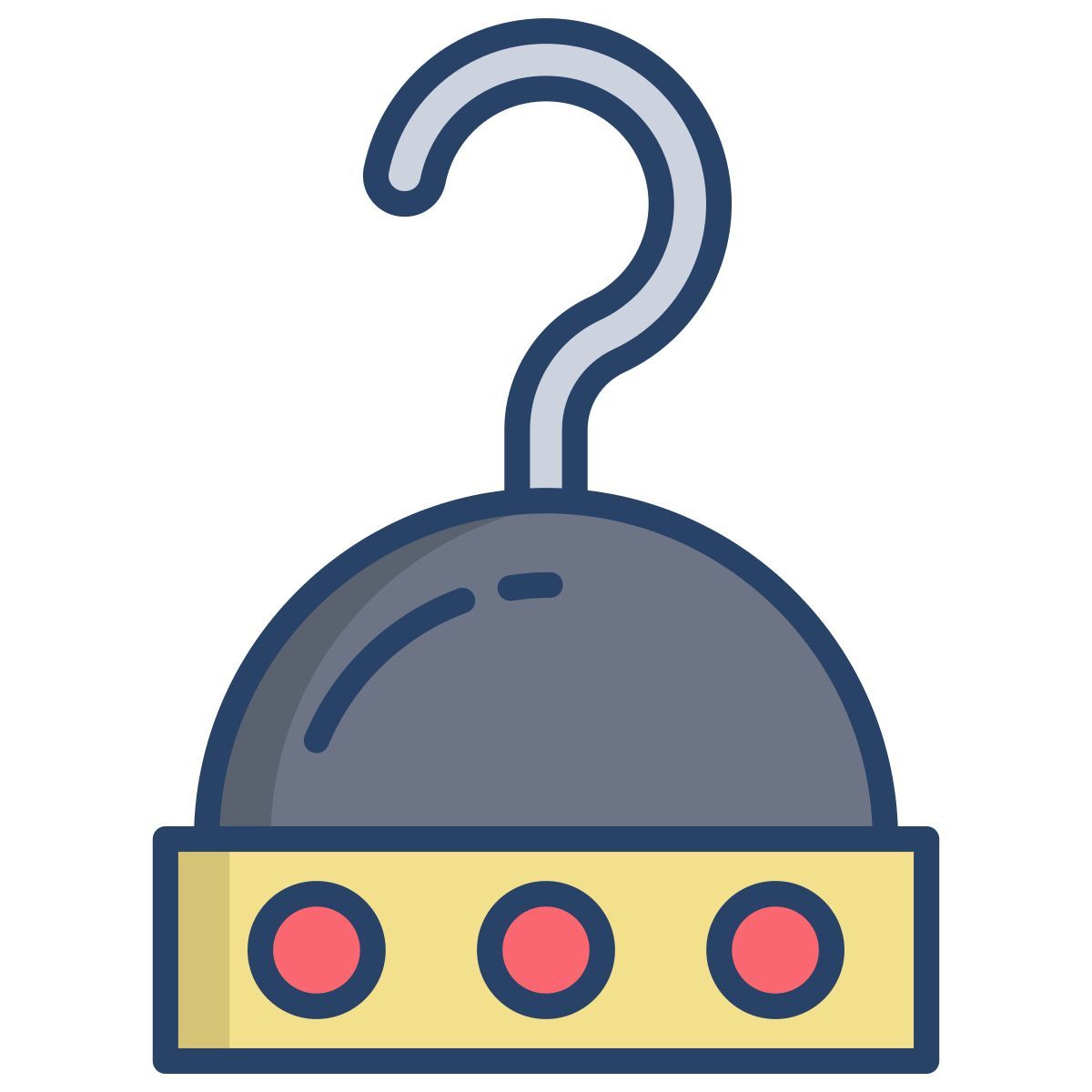 pirate icon