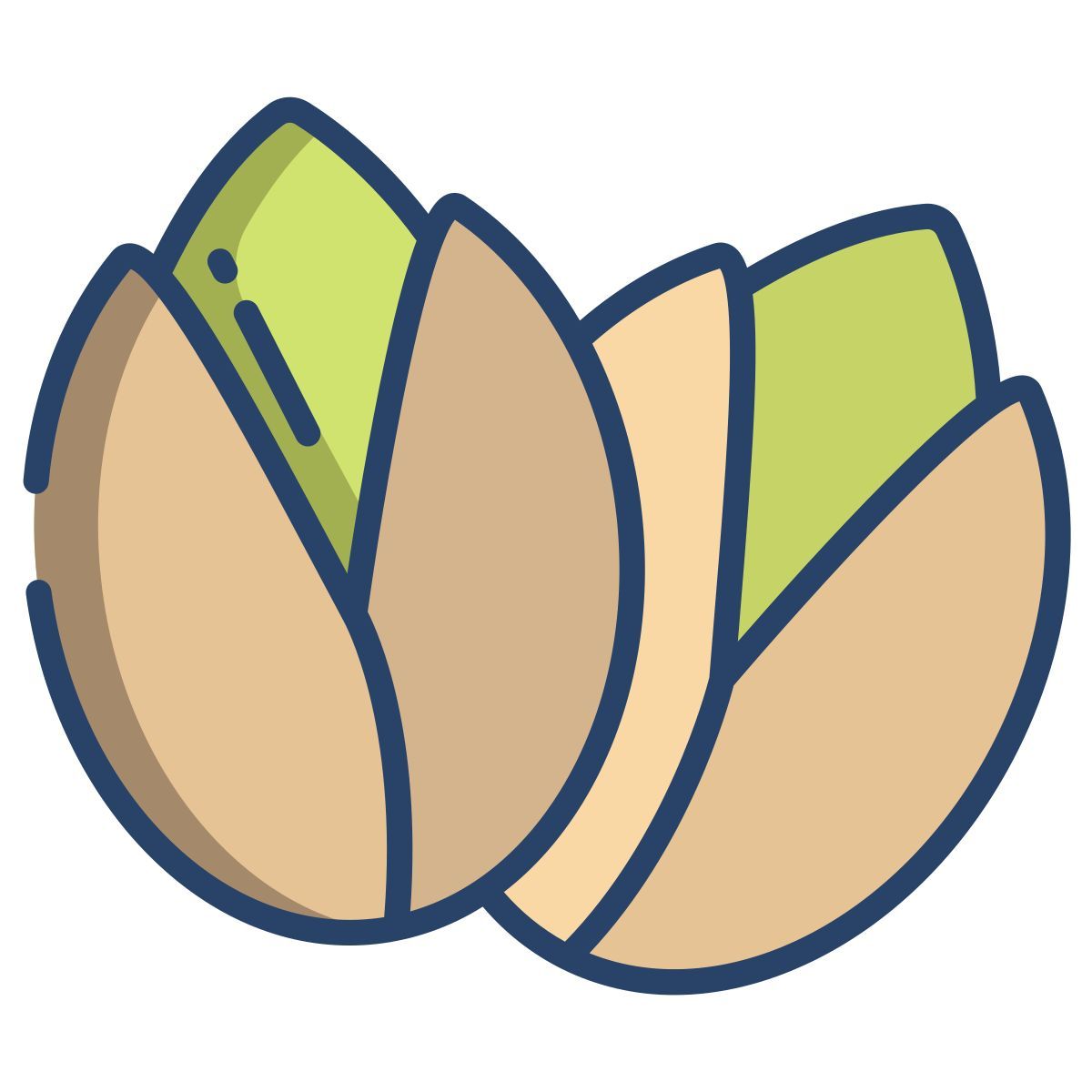 pistachio icon